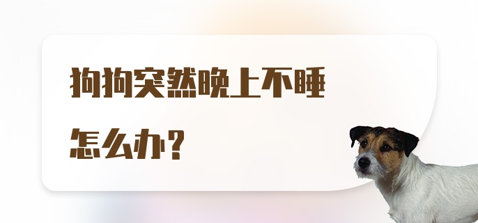 狗狗突然晚上不睡怎么办？