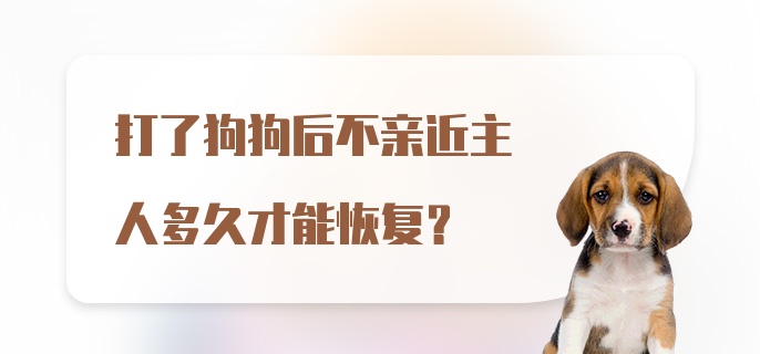 打了狗狗后不亲近主人多久才能恢复?