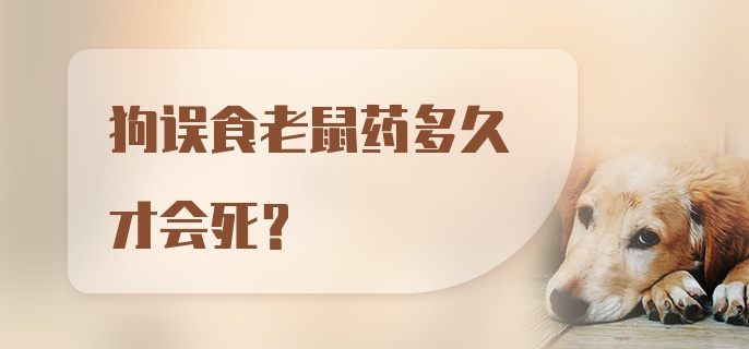 狗误食老鼠药多久才会死?