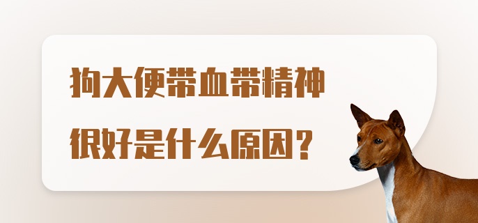 狗大便带血带精神很好是什么原因?