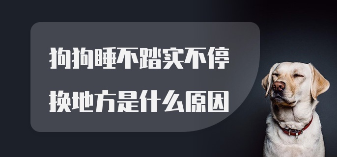 狗狗睡不踏实不停换地方是什么原因