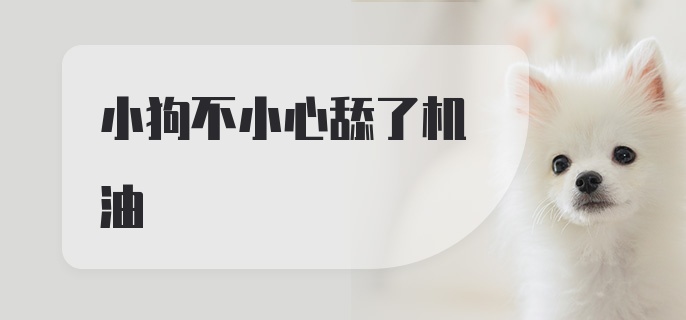 小狗不小心舔了机油