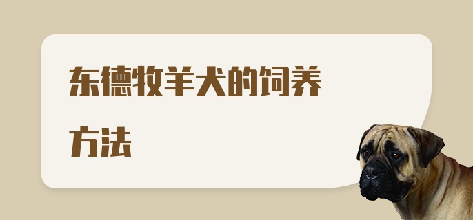 东德牧羊犬的饲养方法