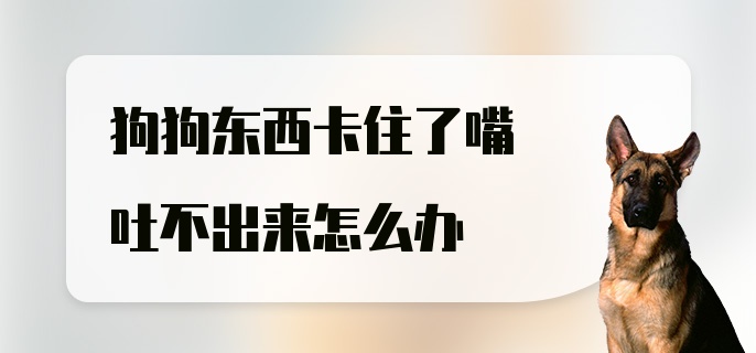 狗狗东西卡住了嘴吐不出来怎么办