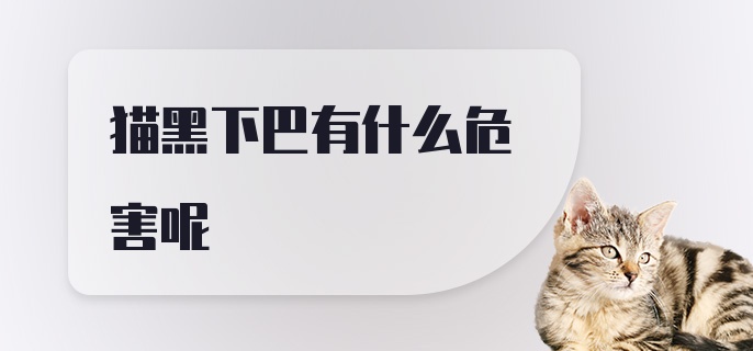 猫黑下巴有什么危害呢