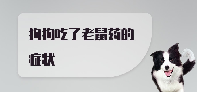 狗狗吃了老鼠药的症状