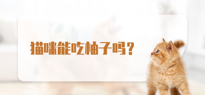 猫咪能吃柚子吗?