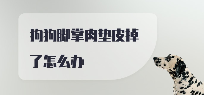 狗狗脚掌肉垫皮掉了怎么办