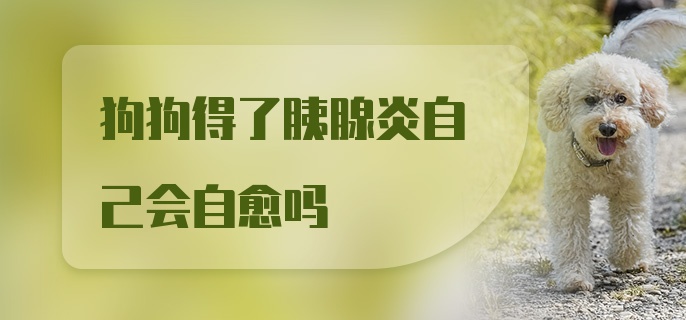 狗狗得了胰腺炎自己会自愈吗