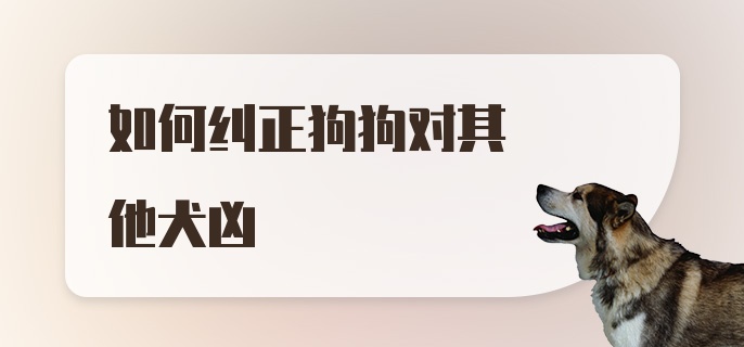 如何纠正狗狗对其他犬凶