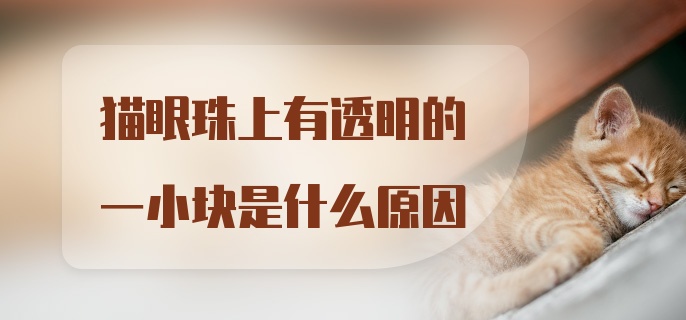 猫眼珠上有透明的一小块是什么原因