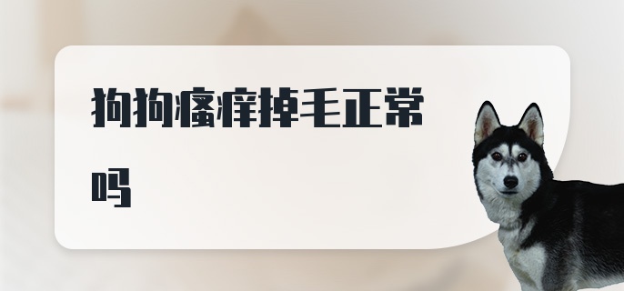 狗狗瘙痒掉毛正常吗