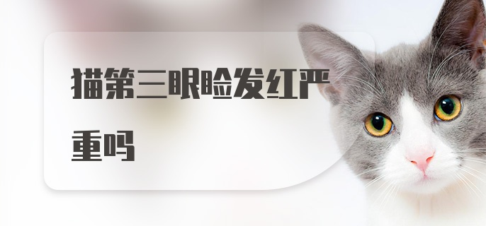 猫第三眼睑发红严重吗