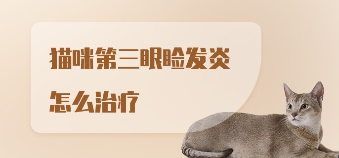 猫咪第三眼睑发炎怎么治疗