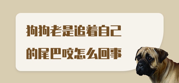 狗狗老是追着自己的尾巴咬怎么回事