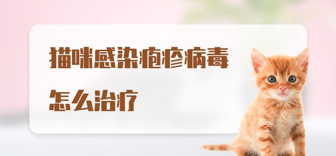 猫咪感染疱疹病毒怎么治疗