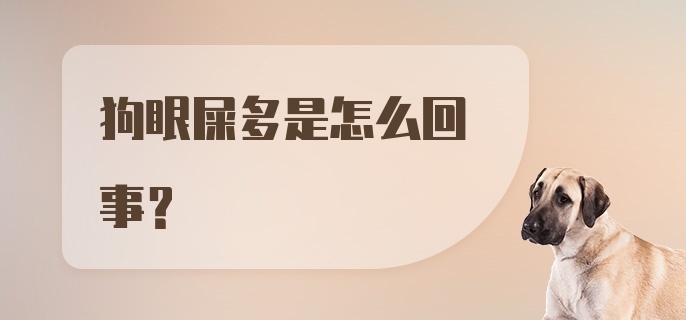 狗眼屎多是怎么回事?