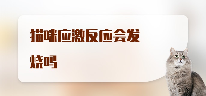 猫咪应激反应会发烧吗