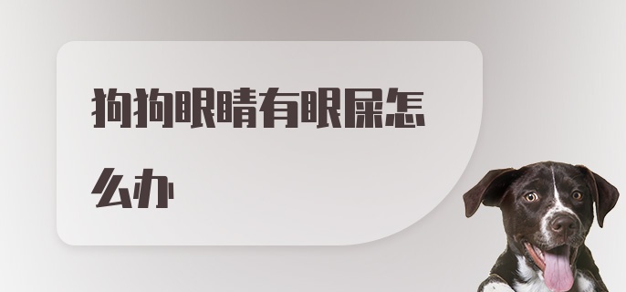 狗狗眼睛有眼屎怎么办