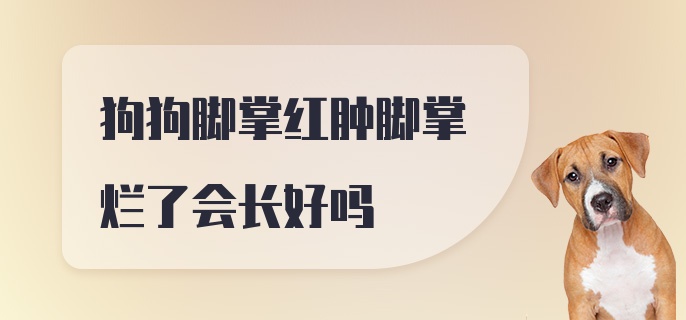 狗狗脚掌红肿脚掌烂了会长好吗