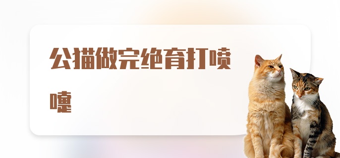 公猫做完绝育打喷嚏是什么情况