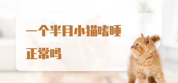 一个半月小猫嗜睡正常吗