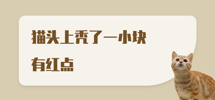 猫头上秃了一小块有红点是怎么回事