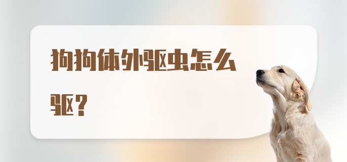 狗狗体外驱虫怎么驱？