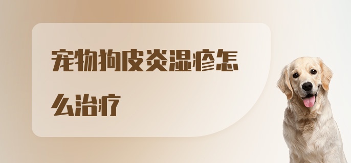 宠物狗皮炎湿疹怎么治疗