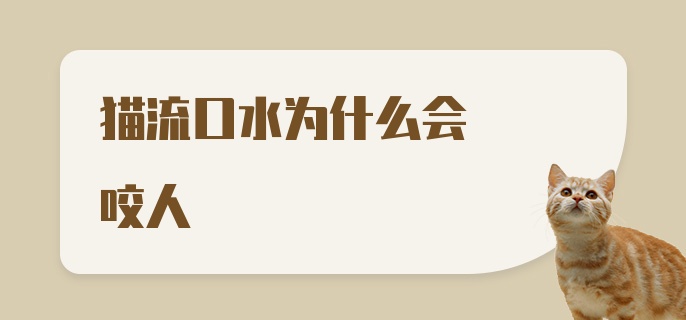 猫流口水为什么会咬人