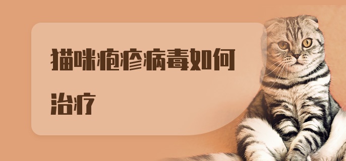 猫咪疱疹病毒如何治疗