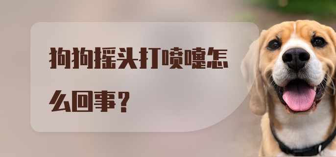 狗狗摇头打喷嚏怎么回事?