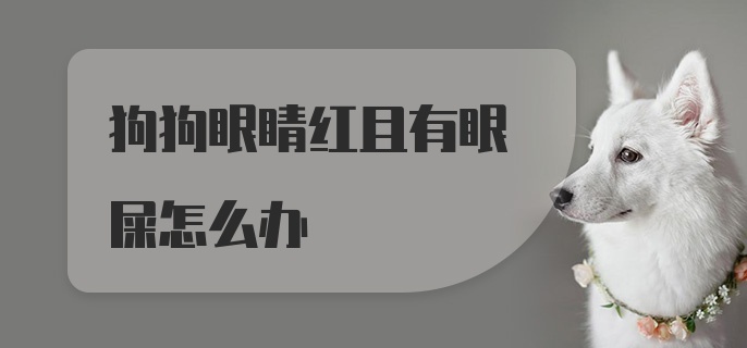 狗狗眼睛红且有眼屎怎么办