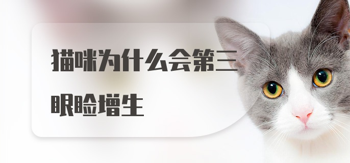 猫咪为什么会第三眼睑增生