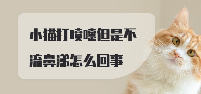 小猫打喷嚏但是不流鼻涕怎么回事