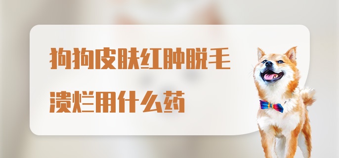 狗狗皮肤红肿脱毛溃烂用什么药