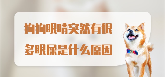 狗狗眼睛突然有很多眼屎是什么原因