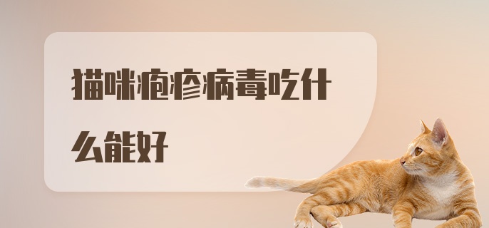 猫咪疱疹病毒吃什么能好