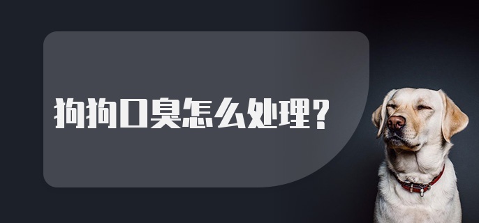 狗狗口臭怎么处理？