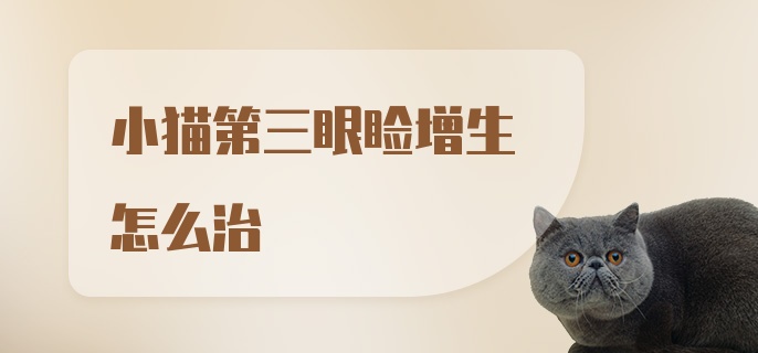 小猫第三眼睑增生怎么治