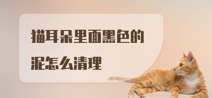 猫耳朵里面黑色的泥怎么清理