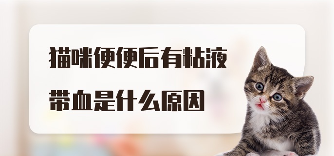 猫咪便便后有粘液带血是什么原因