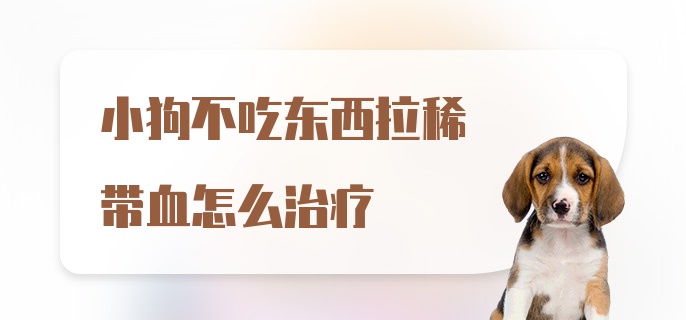 小狗不吃东西拉稀带血怎么治疗