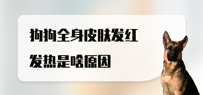 狗狗全身皮肤发红发热是啥原因