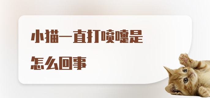 小猫一直打喷嚏是怎么回事