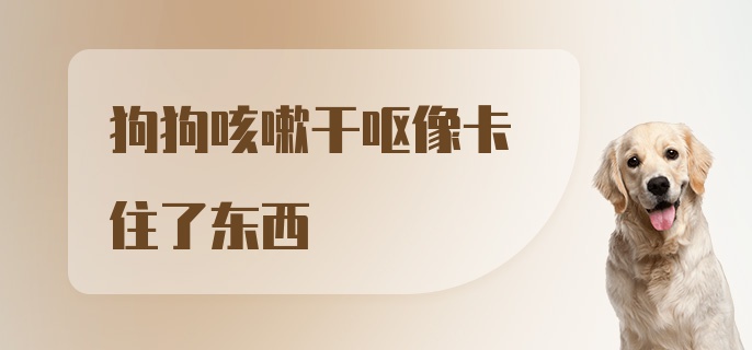 狗狗咳嗽干呕像卡住了东西