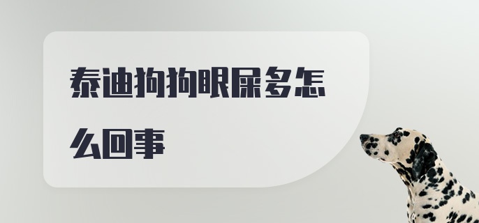 泰迪狗狗眼屎多怎么回事