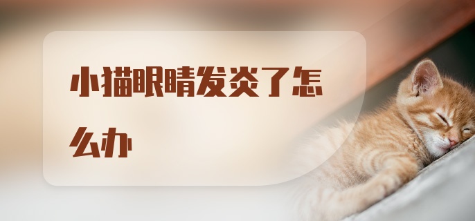 小猫眼睛发炎了怎么办