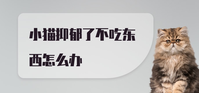 小猫抑郁了不吃东西怎么办