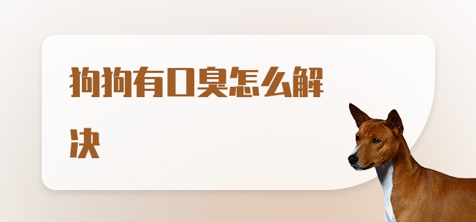 狗狗有口臭怎么解决